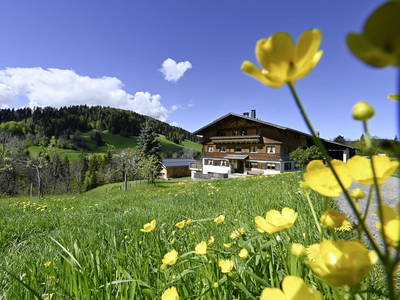 Bild 2 aus  Bauernhof Bilgeri