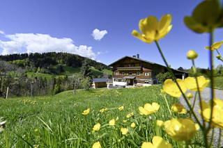 Bauernhof Bilgeri aus Hittisau