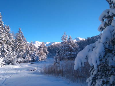Bild 115 aus Riatschhof