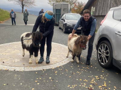 Bild 194 aus  Seewaldhof