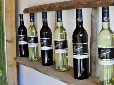 Bild 8 aus  Weingut Stoff