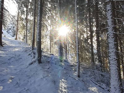 Bild 47 aus  Hoislbauernhütte