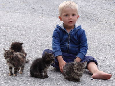 Bild 19 aus  Bäuerlicher Gästering Großarltal