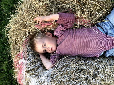 Bild 48 aus  Wastlbauer 