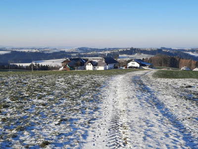 Bild 81 aus  Grainmeister