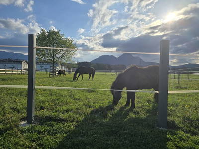 Bild 48 aus  Santnergut