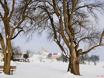 Bild 22 aus  Bio-Bauernhof Haunschmid
