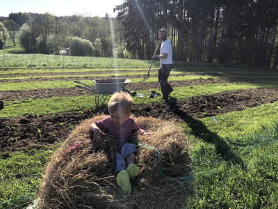 Bild 35 aus  Wastlbauer 