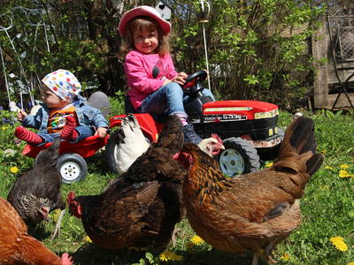 Bild 7 aus  Döllelhof Erding