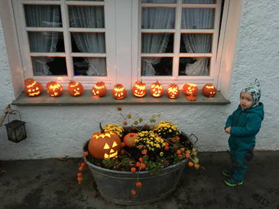 Bild 4 aus  Ferienbauernhof Voß