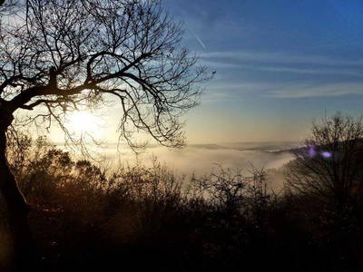 Bild 196 aus  Le Colombié - Ferienhäuser an der Dordogne mieten