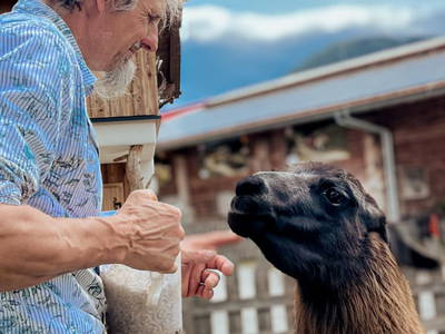 Bild 149 aus  Sieglhub Chalets * Appartements * Hotel