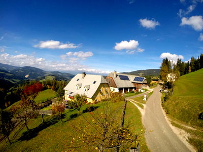 Bild 49 aus Bergbauernhof Rami