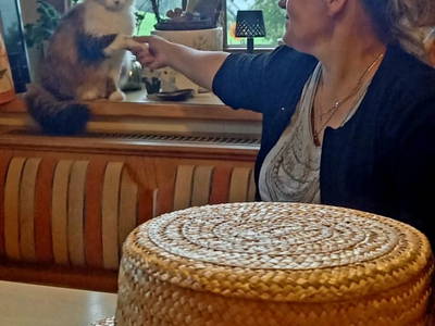 Bild 37 aus  Fötscherhof