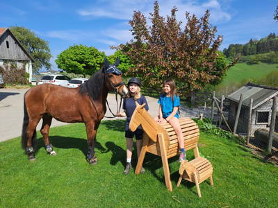 Bild 194 aus  Landhaus  Aigner 