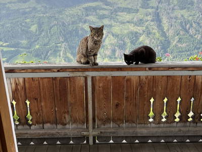 Bild 112 aus  Schuistlhof