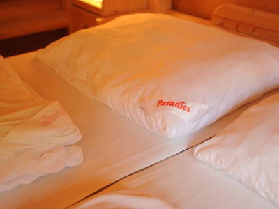 Bild 14 aus  Galsterbergalm - Jagdhütte