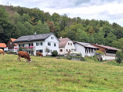 Bild 5 aus  Grabenbauer