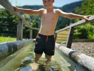 Bild 195 aus  Wallneralm