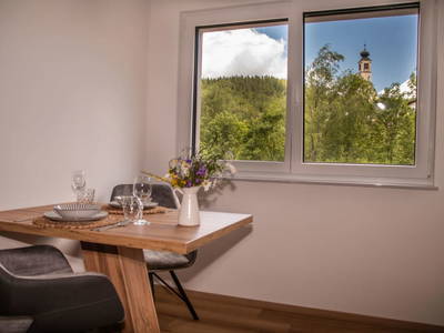 Bild 40 aus  Hofquartier Retzmoar