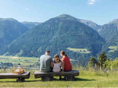Bild 2 aus  Panoramahof am Goldberg