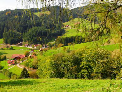 Bild 13 aus  Hochenhof