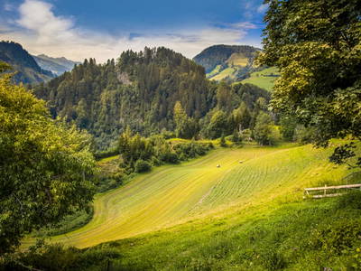 Bild 133 aus  Pesbichl