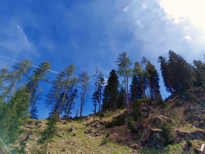 Bild 55 aus  Hoislbauernhütte