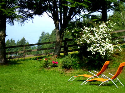 Bild 168 aus Bauernhof Pension Juri