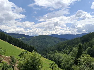 Bild 11 aus  Hanslgrabner