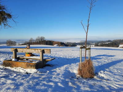 Bild 77 aus  Grainmeister