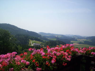 Bild 19 aus  Gebetsberger