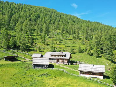 Bild 286 aus  Wolfsbachhütte