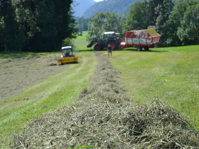 Bild 27 aus Dorner Hof