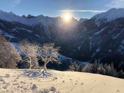 Bild 14 aus  Haus Wille