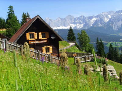 Bild 2 aus  Holzeralm