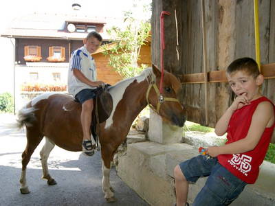 Bild 94 aus  Sportbauernhof Hochalmblick