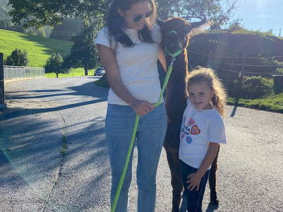 Bild 31 aus  Taxengut