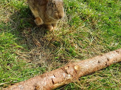 Bild 62 aus  Vorderzettn