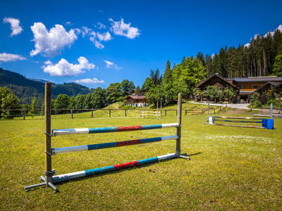 Bild 111 aus  Zauchtalerhof