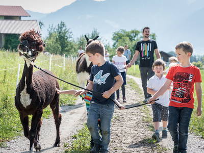 Bild 80 aus  Wichtelhütte