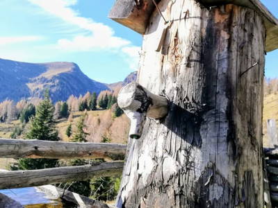 Bild 20 aus  Dreicharhütte