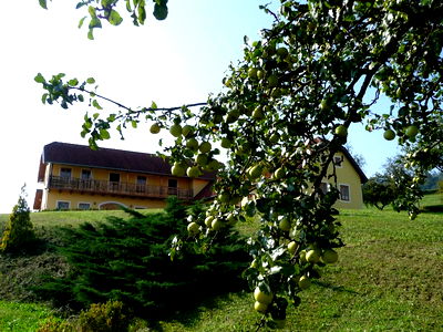 Bild 5 aus Blumentalhof