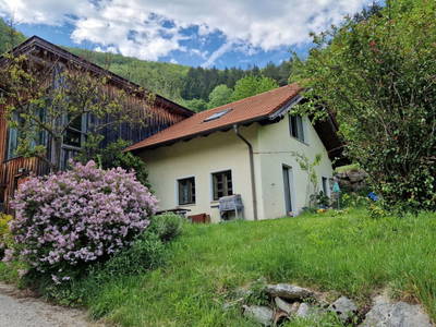 Bild 4 aus  Gsangerer