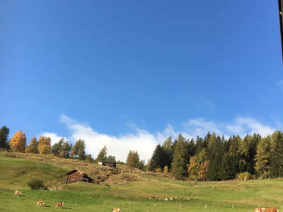 Bild 54 aus  Ferienwohnung Suntinger