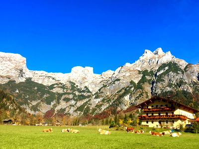 Bild 97 aus Alpen Appartements Oberlehengut HIDEAWAY