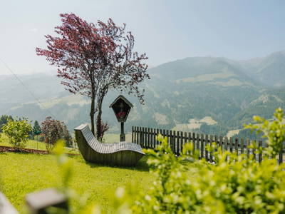 Bild 10 aus  Oberrieserhof