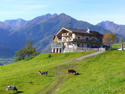 Bild 115 aus  Naglbauer