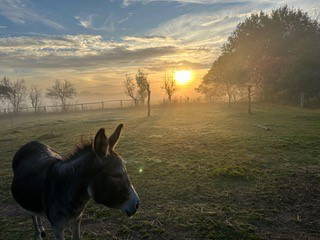Bild 30 aus  Ferienwohnung Schöner Winkel