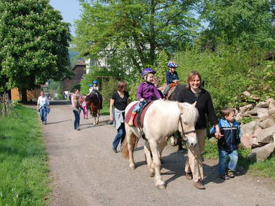 Bild 18 aus  Gutshof Baumbach